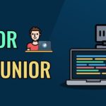 Senior vs junior niveles de programadores