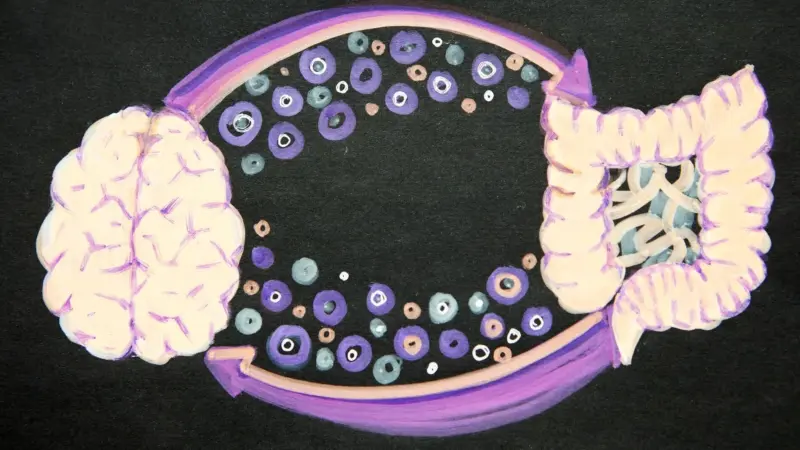 Bacterias intestinales invadiendo el cerebro humano