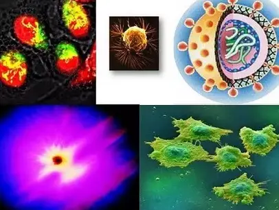 Células con propiedades anticancerígenas