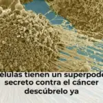 Células tienen un superpoder secreto contra el cáncer descúbrelo ya