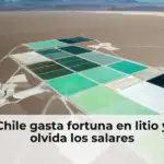 Chile gasta fortuna en litio y olvida los salares
