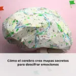 Cómo el cerebro crea mapas secretos para descifrar emociones
