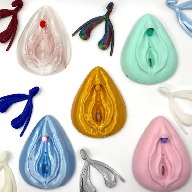 Clítoris tamaño y mapa 3D