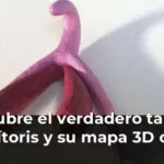 Descubre el verdadero tamaño del clítoris y su mapa 3D oculto