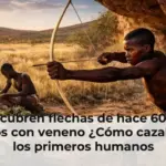 Descubren flechas de hace 60000 años con veneno ¿Cómo cazaban los primeros humanos