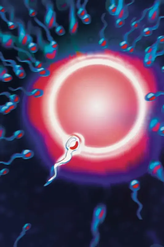 Espermatozoides en el espacio con fallo de GPS