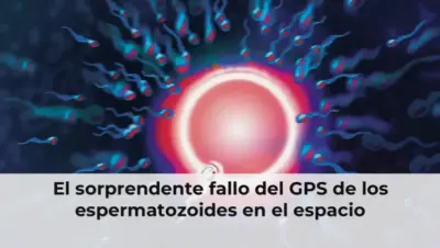 Espermatozoides en el espacio con fallo de GPS