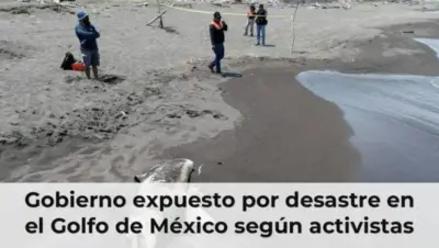 Activistas protestan desastre Golfo México