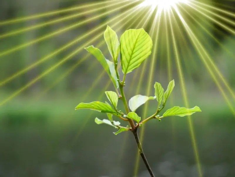 Energía solar renovable y limpia