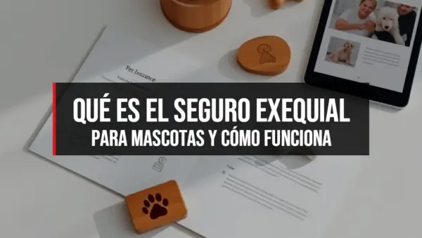 Qué es el seguro exequial para mascotas y cómo funciona