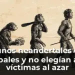 Algunos neandertales eran caníbales y no elegían a sus víctimas al azar