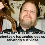 Cada vez hay más influencers de serpientes y los zoológicos están salvando sus vidas