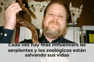 Cada vez hay más influencers de serpientes y los zoológicos están salvando sus vidas
