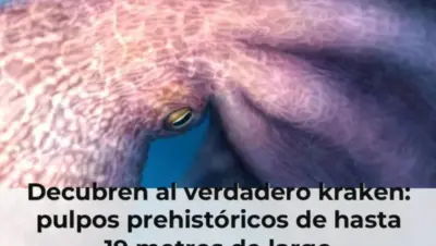 Decubren al verdadero kraken: pulpos prehistóricos de hasta 19 metros de largo