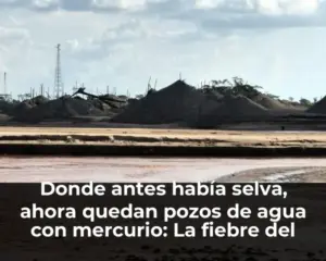 Donde antes había selva, ahora quedan pozos de agua con mercurio: La fiebre del oro arrasa con la Amazonía peruana