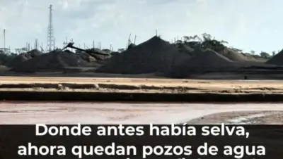 Donde antes había selva, ahora quedan pozos de agua con mercurio: La fiebre del oro arrasa con la Amazonía peruana