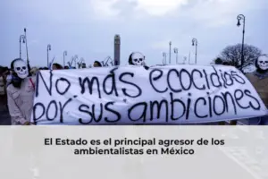 El Estado es el principal agresor de los ambientalistas en México