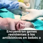 Encuentran genes resistentes a los antibióticos en bebés a las pocas horas de nacer