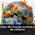 Los ejércitos del mundo ocultan su huella de carbono