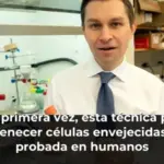 Por primera vez, esta técnica para rejuvenecer células envejecidas será probada en humanos