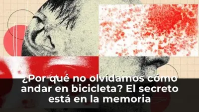 ¿Por qué no olvidamos cómo andar en bicicleta? El secreto está en la memoria procedimental