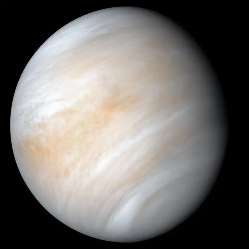 Si Venus tiene vida, posiblemente la importó desde la Tierra