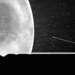 Si Venus tiene vida, posiblemente la importó desde la Tierra