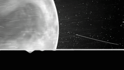 Si Venus tiene vida, posiblemente la importó desde la Tierra