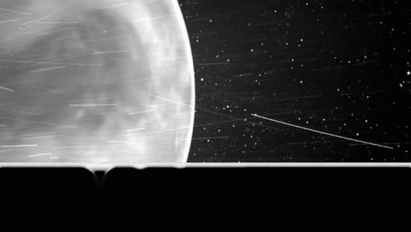 Si Venus tiene vida, posiblemente la importó desde la Tierra