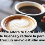 Tomar café altera tu flora intestinal, te pone de buenas y reduce la percepción de estrés; un nuevo estudio averigua cómo