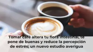 Tomar café altera tu flora intestinal, te pone de buenas y reduce la percepción de estrés; un nuevo estudio averigua cóm