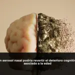 Un aerosol nasal podría revertir el deterioro cognitivo asociado a la edad