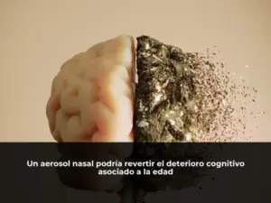 Un aerosol nasal podría revertir el deterioro cognitivo asociado a la edad