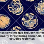 8 hábitos sencillos que reducen el riesgo de Alzheimer y otras formas demencia, según estudios recientes