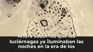 Ahora sabemos que las luciérnagas ya iluminaban las noches en la era de los dinosaurios