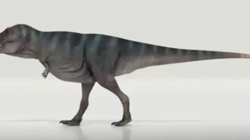 Al fin sabemos por qué el T. rex tenía los brazos tan cortos