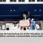 Brote de hantavirus en el MV Hondius: OMS identifica variante transmisible entre humanos