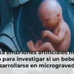 China lanza embriones artificiales humanos al espacio para investigar si un bebé puede desarrollarse en microgravedad