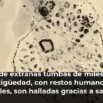 Cientos de extrañas tumbas de miles de años de antigüedad, con restos humanos y de animales, son halladas gracias a satélites