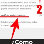 ¿Cómo cambiar de número en WhatsApp sin perder tus chats? Guía para mantener las conversaciones