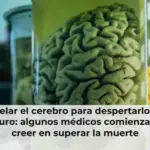Congelar el cerebro para despertarlo en el futuro: algunos médicos comienzan a creer en superar la muerte