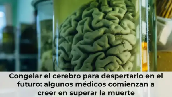 Congelar el cerebro para despertarlo en el futuro: algunos médicos comienzan a creer en superar la muerte