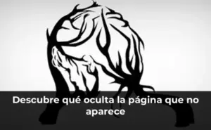 Descubre qué oculta la página que no aparece