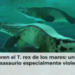 Descubren el T. rex de los mares: un colosal mosasaurio especialmente violento