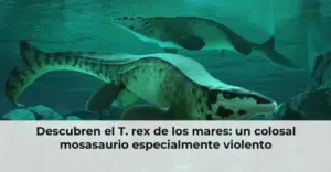 Descubren el T. rex de los mares: un colosal mosasaurio especialmente violento