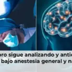 El cerebro sigue analizando y anticipando información bajo anestesia general y nadie lo sabía