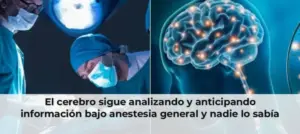 El cerebro sigue analizando y anticipando información bajo anestesia general y nadie lo sabía