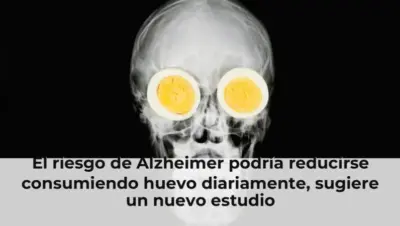 El riesgo de Alzheimer podría reducirse consumiendo huevo diariamente, sugiere un nuevo estudio