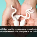 La fertilidad podría recuperarse tras el cáncer a partir de tejido testicular congelado en la infancia
