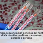 La primera secuenciación genética del hantavirus en el MV Hondius confirma transmisión de persona a persona